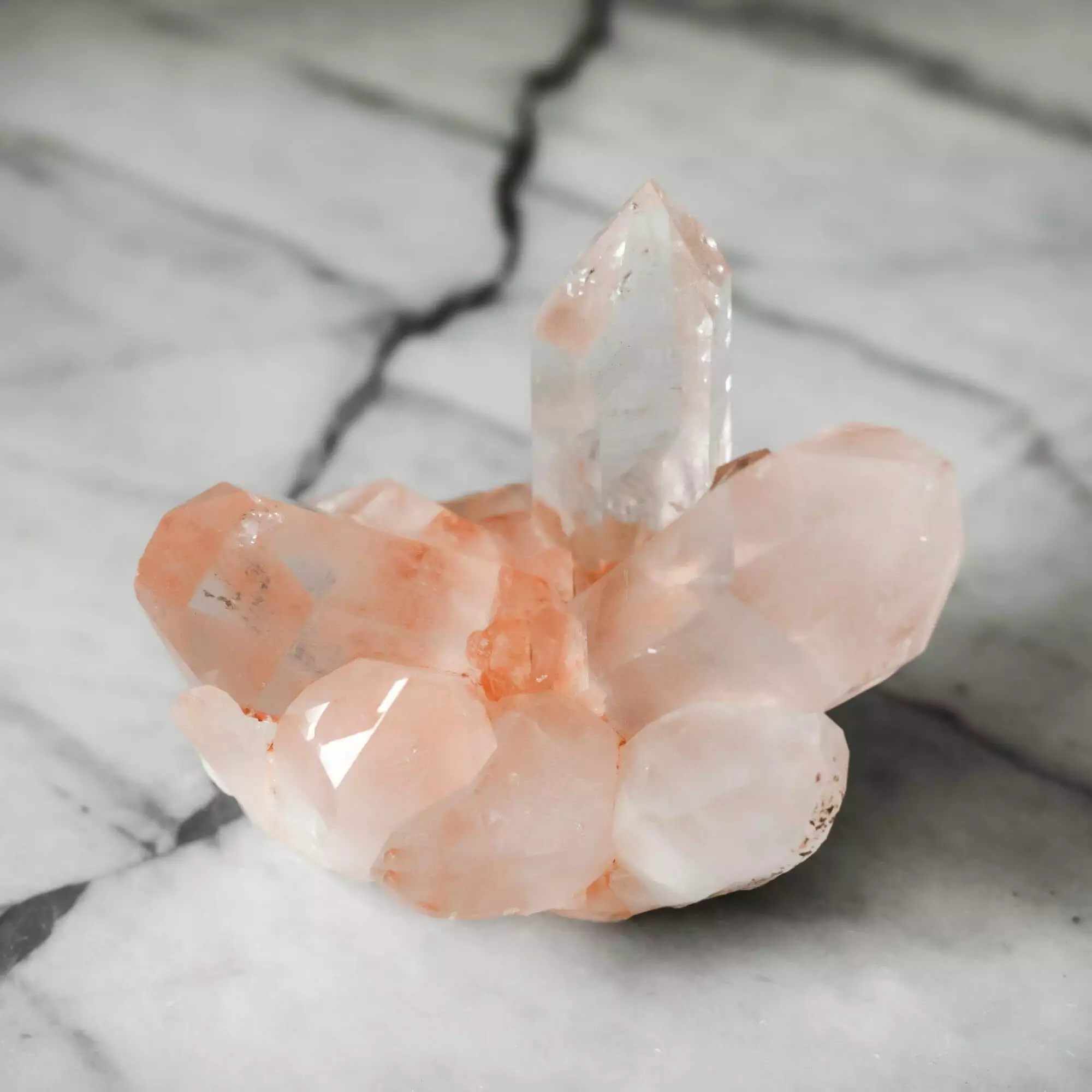 Blush Samadhi Large pointed Cluster - Image 4