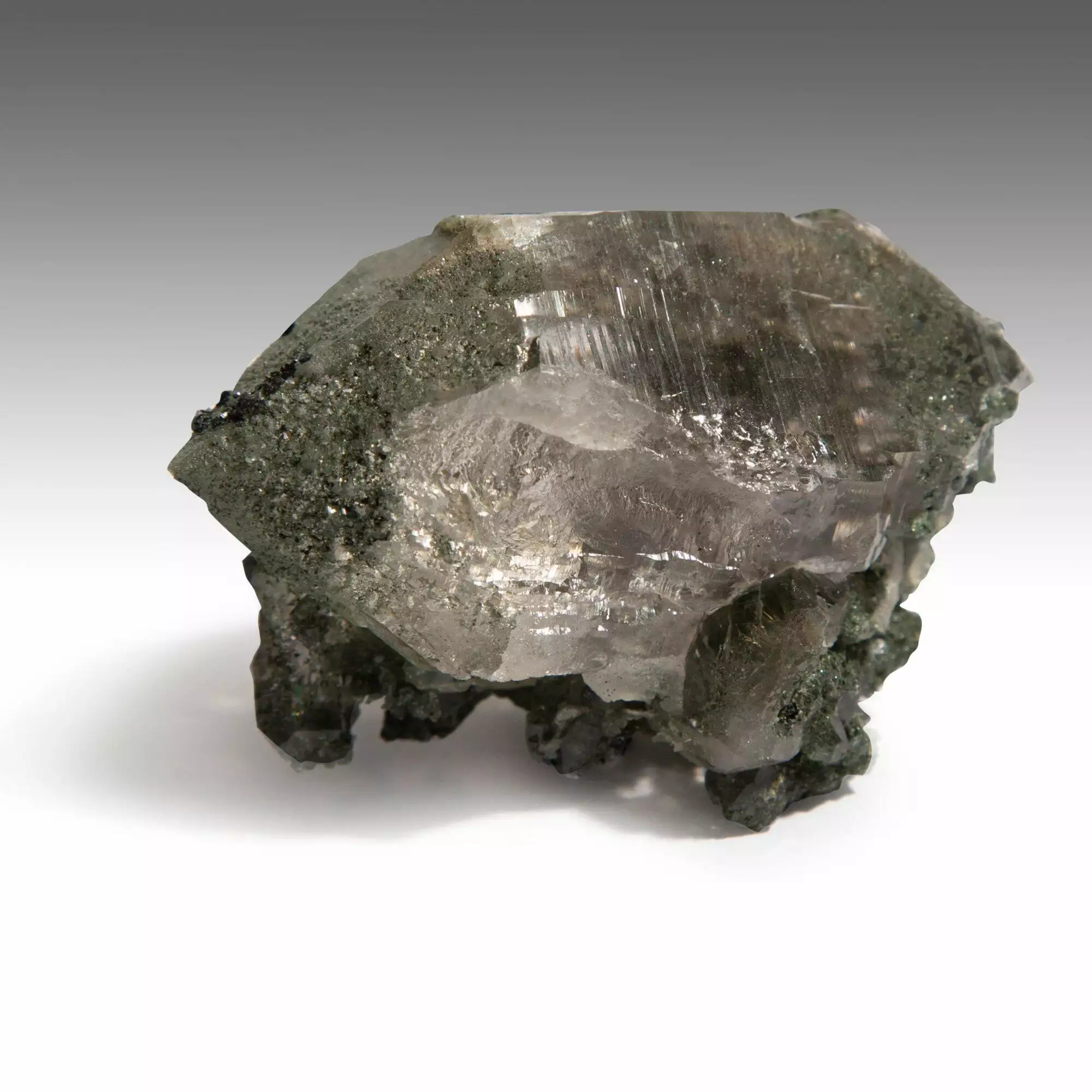 Clear Point With Covered In Green Chlorite Druzy - Image 2